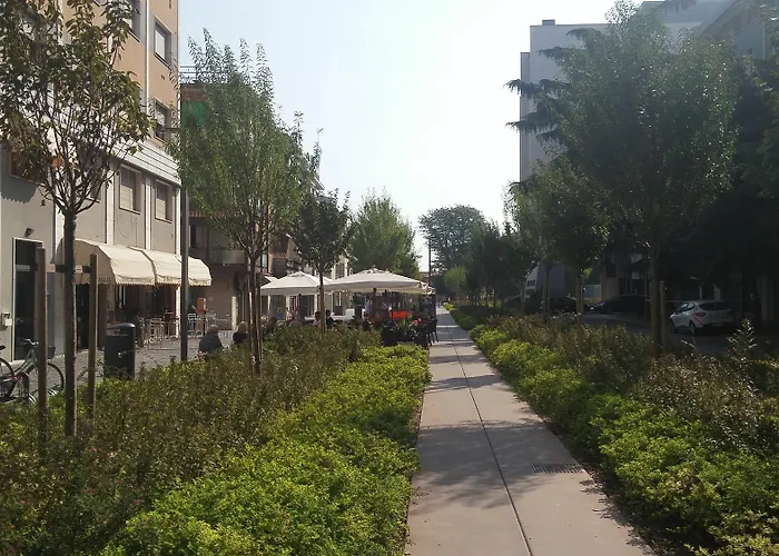 Alojamento de Acomodação e Pequeno-almoço Mestrina Mestre